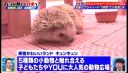 000_001_0048.jpeg