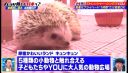 000_001_0050.jpeg