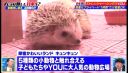 000_001_0051.jpeg