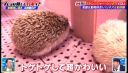 000_001_0078.jpeg