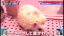 000_001_0079.jpeg