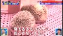 000_001_0081.jpeg