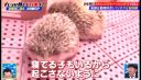 000_001_0082.jpeg