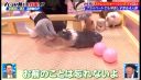 Filename=000_001_0232.jpeg
Filesize=244KiB
Dimensions=1456x832
Date added=May 15, 2026 000_001_0232.jpeg