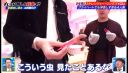 Filename=000_001_0240.jpeg
Filesize=205KiB
Dimensions=1456x832
Date added=May 15, 2026 000_001_0240.jpeg