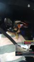 000_001_0395.jpeg
