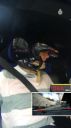 000_001_0396.jpeg