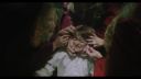 000_001_0469.jpeg