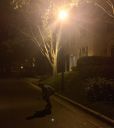 2017-04-29_1503365620393533913.jpg