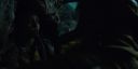 000_001_2354.jpeg