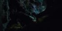 000_001_2362.jpeg