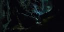 000_001_2364.jpeg