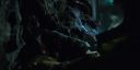 000_001_2365.jpeg