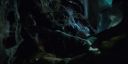 000_001_2366.jpeg