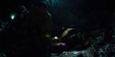 000_001_2682.jpeg