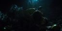 000_001_2790.jpeg