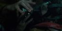 000_001_2799.jpeg