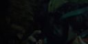 000_001_2803.jpeg