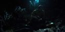 000_001_2808.jpeg