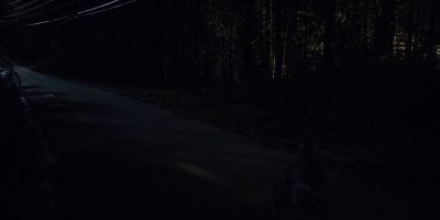 Click to view full size image
==============
000_001_0403.jpeg 000_001_0403.jpeg