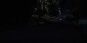 000_001_0384.jpeg