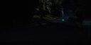 000_001_0388.jpeg