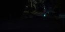 000_001_0390.jpeg
