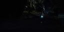 000_001_0391.jpeg