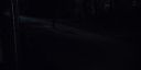 000_001_0406.jpeg