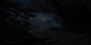 000_001_0450.jpeg