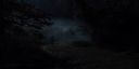 000_001_0451.jpeg