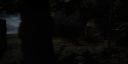000_001_0527.jpeg