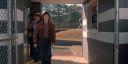 000_001_1526.jpeg