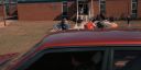000_001_0832.jpeg