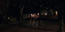 000_001_2490.jpeg