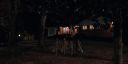 000_001_2491.jpeg