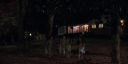 000_001_2494.jpeg