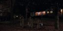 000_001_2495.jpeg