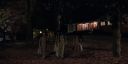 000_001_2496.jpeg