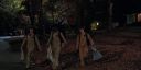 000_001_2501.jpeg