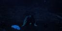 000_001_2869.jpeg