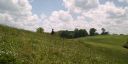 000_001_0921.jpeg