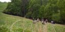 Filename=000_001_2065.jpeg
Filesize=722KiB
Dimensions=1920x960
Date added=May 03, 2026 000_001_2065.jpeg