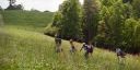 000_001_2078.jpeg