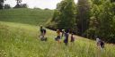000_001_2081.jpeg