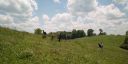 000_001_2098.jpeg