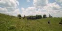 000_001_2099.jpeg