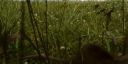 000_001_2161.jpeg