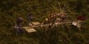 000_001_2442.jpeg