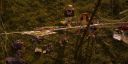 000_001_2447.jpeg